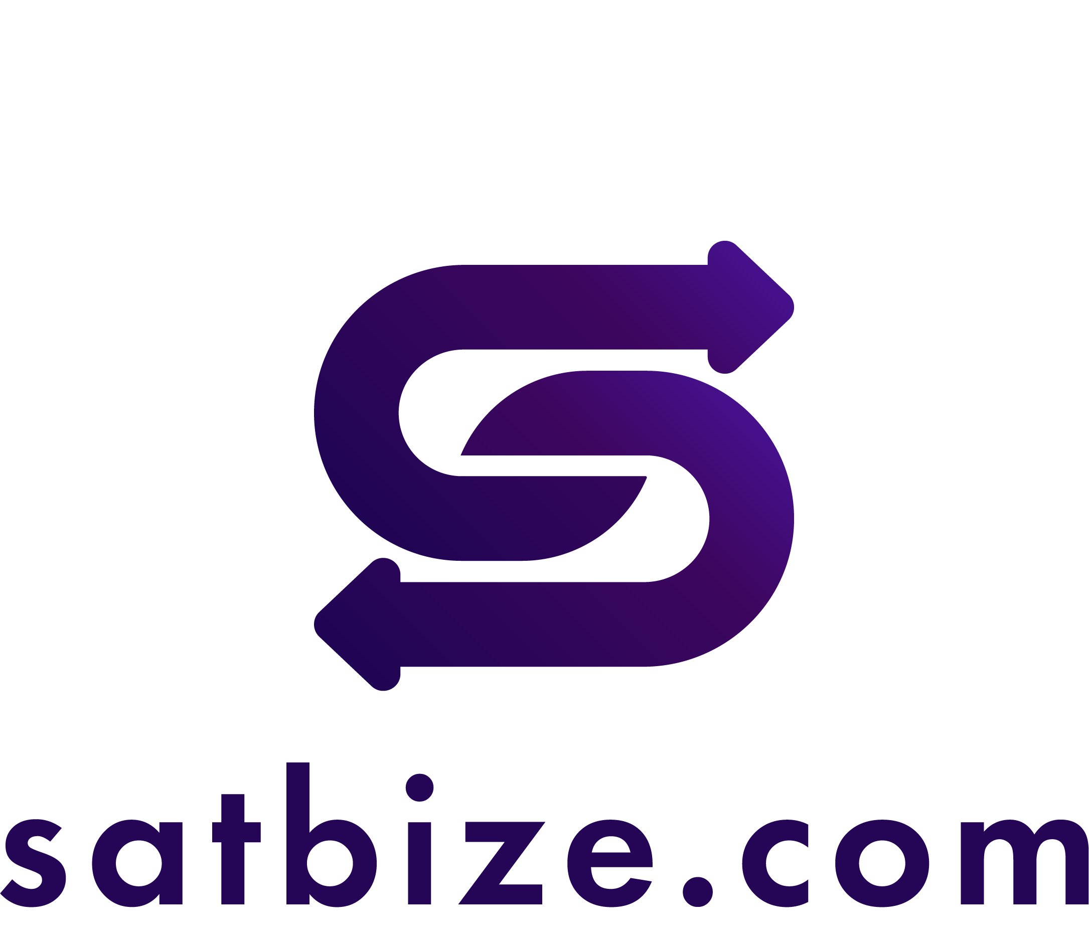 satbize.com